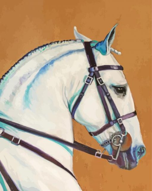 White Lusitano Horse Head Diamond Paintings