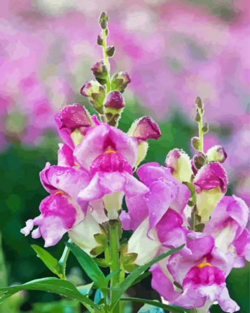 White And Purple Snapdragons Diamond Paintings