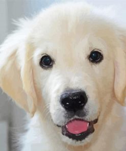 White Golden Retriever Diamond Paintings