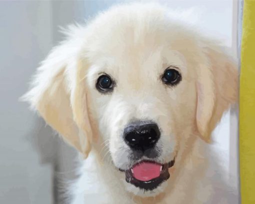 White Golden Retriever Diamond Paintings