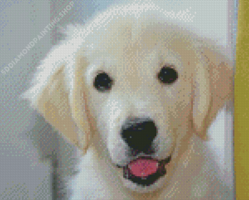 White Golden Retriever Diamond Paintings