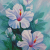 White Hibiscus Flowers Art Diamond Paintings