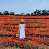 Woman And Poppies Diamond Paintings