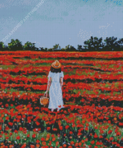 Woman And Poppies Diamond Paintings