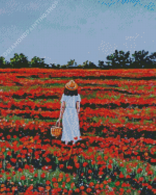 Woman And Poppies Diamond Paintings