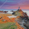 Ynys Llanddwyn Island In Wales Diamond Paintings