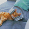 Aesthetic Cat with Headphones Diamond Paintings