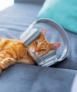 Aesthetic Cat with Headphones Diamond Paintings