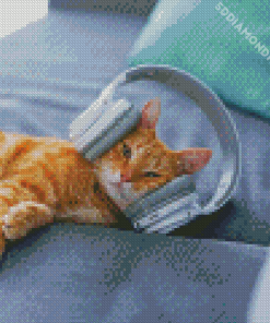 Aesthetic Cat with Headphones Diamond Paintings