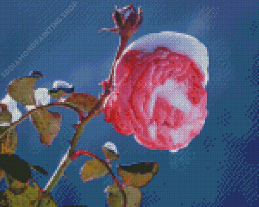 Aesthetic Spring Flower In Snow Diamond Paintings