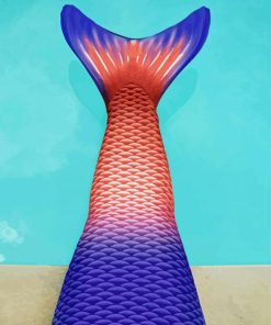 Beautiful Mermaid Tail Diamond Paintings