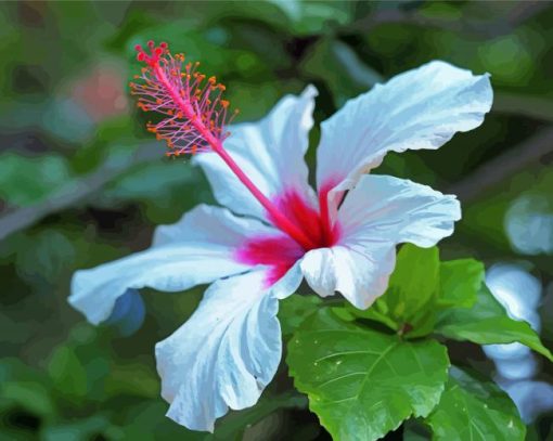 Beautiful White Hibiscus Flower Diamond Painting