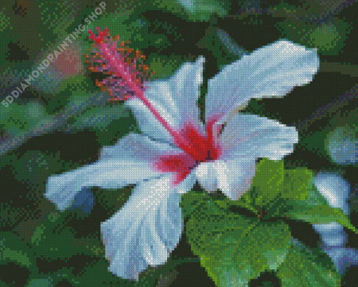 Beautiful White Hibiscus Flower Diamond Painting