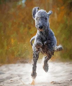 Bedlington Terrier Running Diamond Paintings