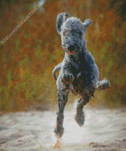 Bedlington Terrier Running Diamond Paintings