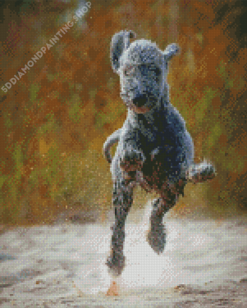 Bedlington Terrier Running Diamond Paintings