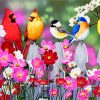 Birds On White Picket Fence Diamond Paintings