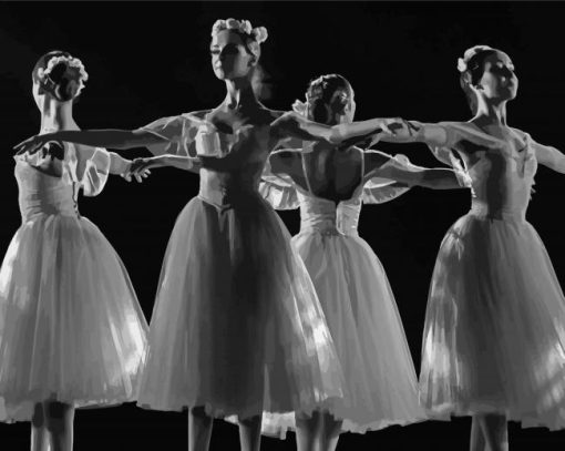 Black And White Ballet Princesses Diamond Paintings