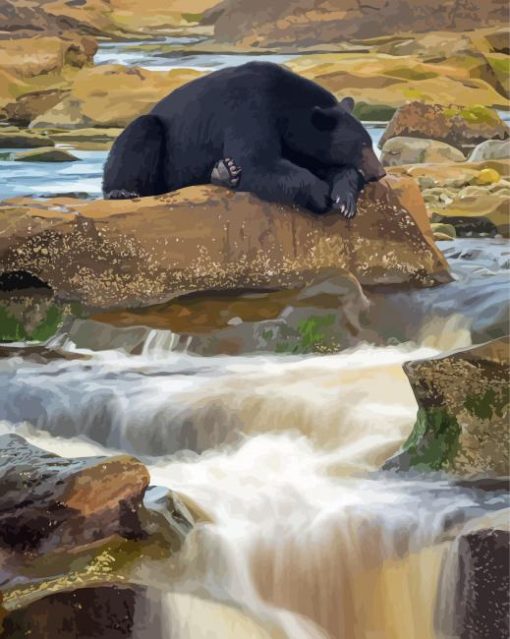 Black Bear Waterfall Diamond Paintings