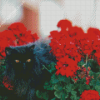 Black Cats And Flowers In Garden Diamond Paintings