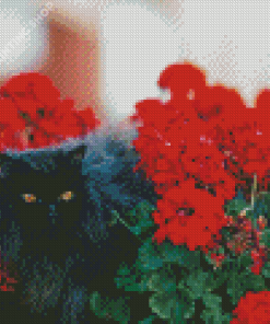 Black Cats And Flowers In Garden Diamond Paintings