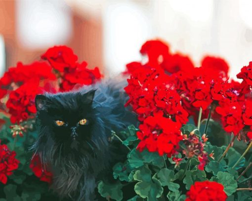 Black Cats And Flowers In Garden Diamond Paintings