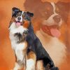 Black Tri Australian Shepherd Art Diamond Painting