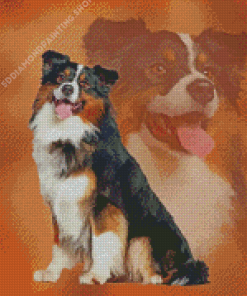 Black Tri Australian Shepherd Art Diamond Painting