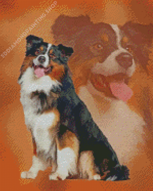 Black Tri Australian Shepherd Art Diamond Painting