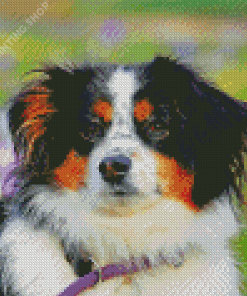 Black Tri Australian Shepherd Puppy Head Diamond Painting