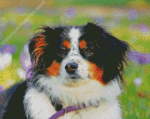 Black Tri Australian Shepherd Puppy Head Diamond Painting