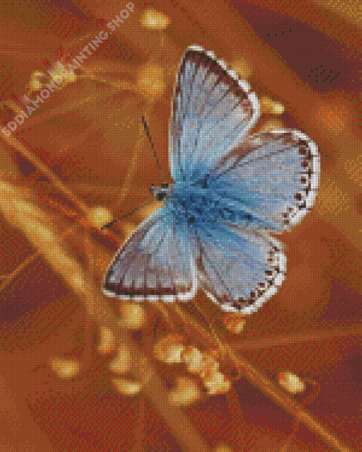 Blue And White Butterfly Diamond Painting