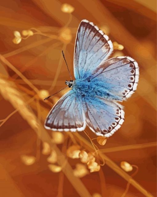 Blue And White Butterfly Diamond Painting