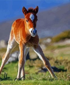 Brown Horse Foal Diamond Painting