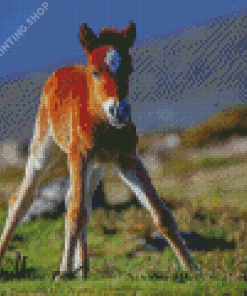 Brown Horse Foal Diamond Painting