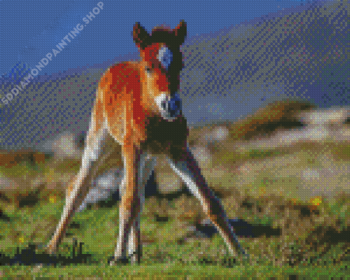 Brown Horse Foal Diamond Painting