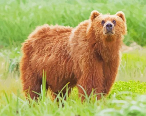 Brown Swedish Bear Animal Diamond Paintings