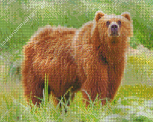 Brown Swedish Bear Animal Diamond Paintings