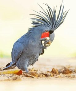 Black Palm Cockatoo Eating Diamond Paintings