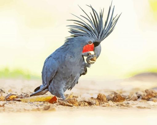 Black Palm Cockatoo Eating Diamond Paintings