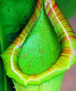 Close Up Green Pitcher Plant Diamond Painting