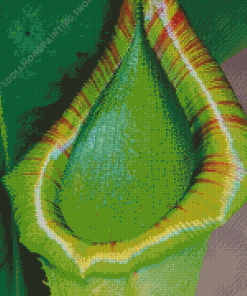 Close Up Green Pitcher Plant Diamond Painting