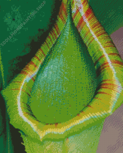 Close Up Green Pitcher Plant Diamond Painting