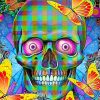 Colorful Skull And Butterflies Diamond Painting