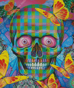 Colorful Skull And Butterflies Diamond Painting