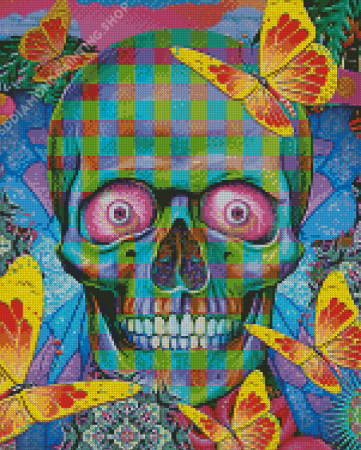 Colorful Skull And Butterflies Diamond Painting