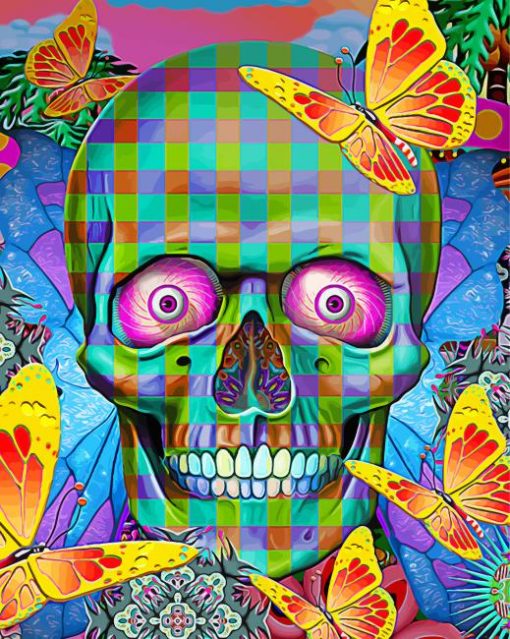 Colorful Skull And Butterflies Diamond Painting