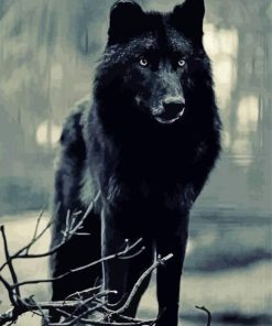 Cool Black Wolf Animal Diamond Paintings