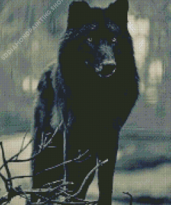 Cool Black Wolf Animal Diamond Paintings