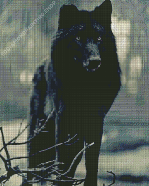 Cool Black Wolf Animal Diamond Paintings